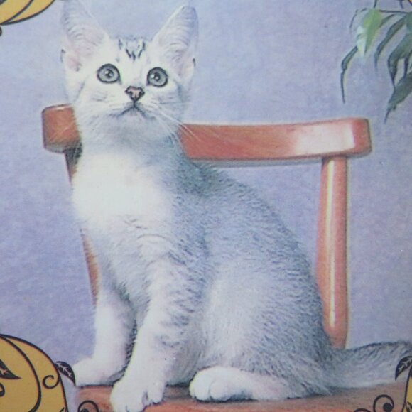 Small Decorative Painted Ceramic Plate with White Kitten (F87) - Picture 3 of 4